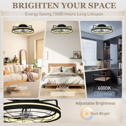Ceiling Fan with Light, Remote Control, 19 in (48 cm), 40W LED Ceiling Light & Fan, 3 Color Temperatures, Timer, 6 Speeds, Dimmable, Quiet DC Motor, Black Shade