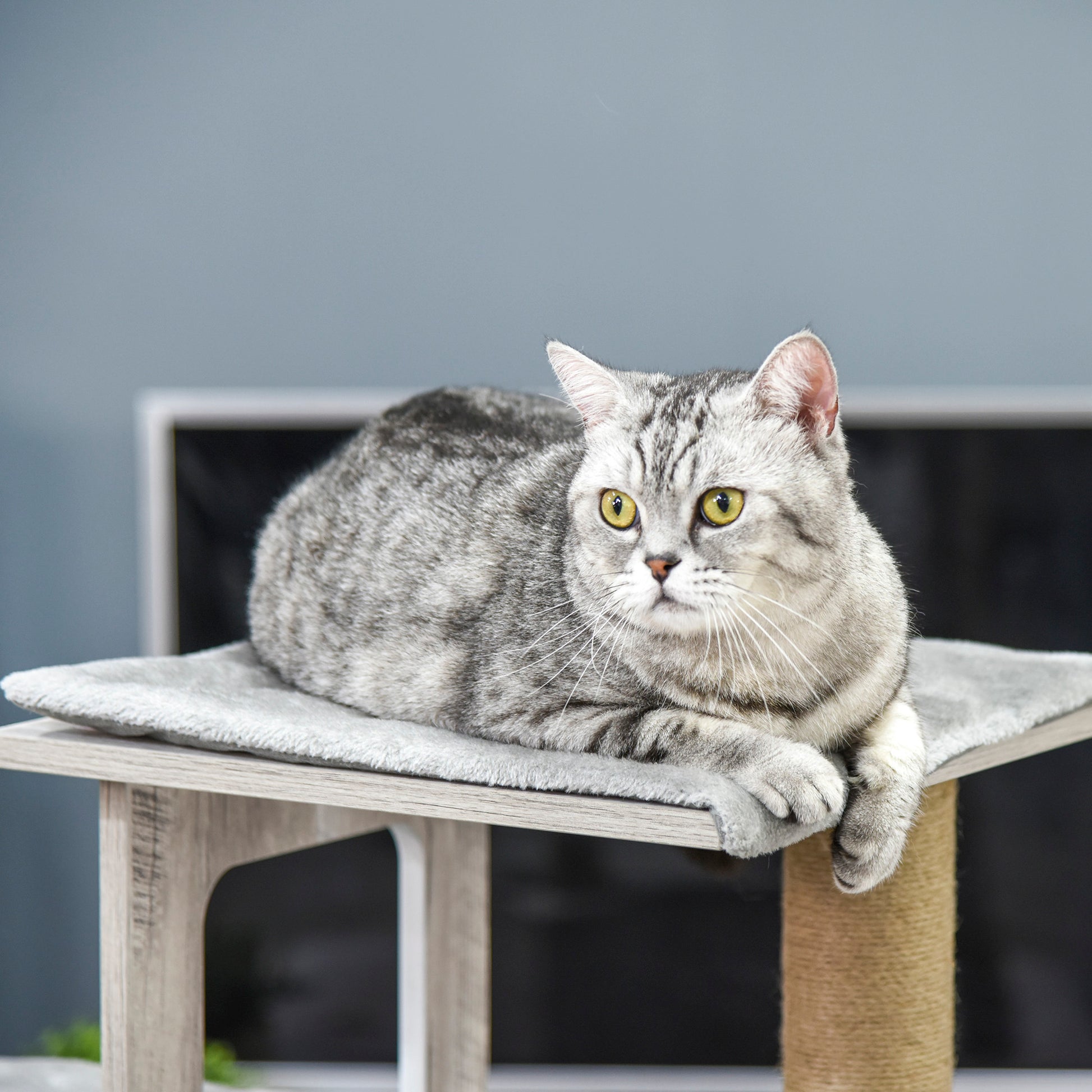 Multi-Level Scratching Tree for Cats with House and Jute Ropes, 67x38.5x114 cm, Gray