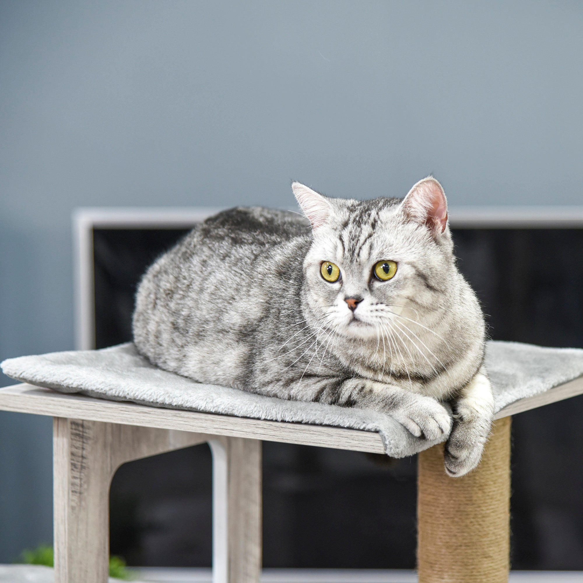 Multi-Level Scratching Tree for Cats with House and Jute Ropes, 67x38.5x114 cm, Gray