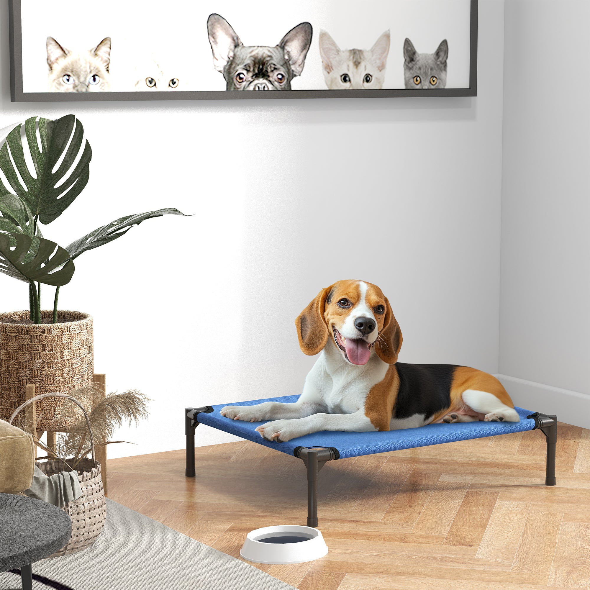 Medium Size Folding Dog Bed for Indoor and Outdoor, Raised Dog Bed, Metal and Oxford Fabric Dog House, 76x61x18 cm, Blue