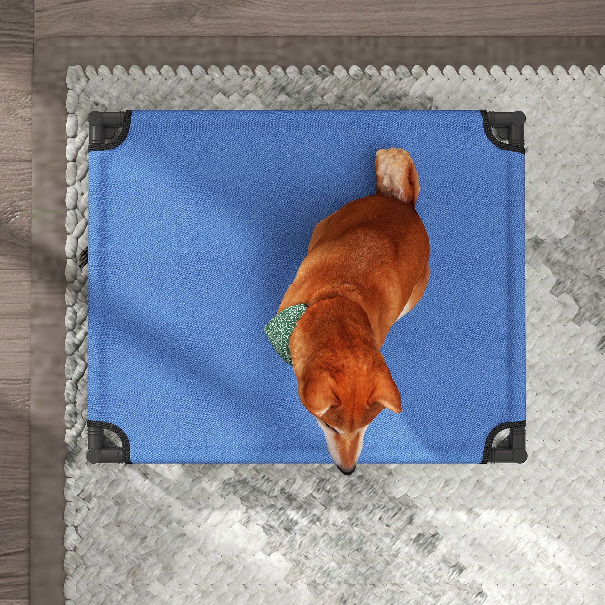 Medium Size Folding Dog Bed for Indoor and Outdoor, Raised Dog Bed, Metal and Oxford Fabric Dog House, 76x61x18 cm, Blue