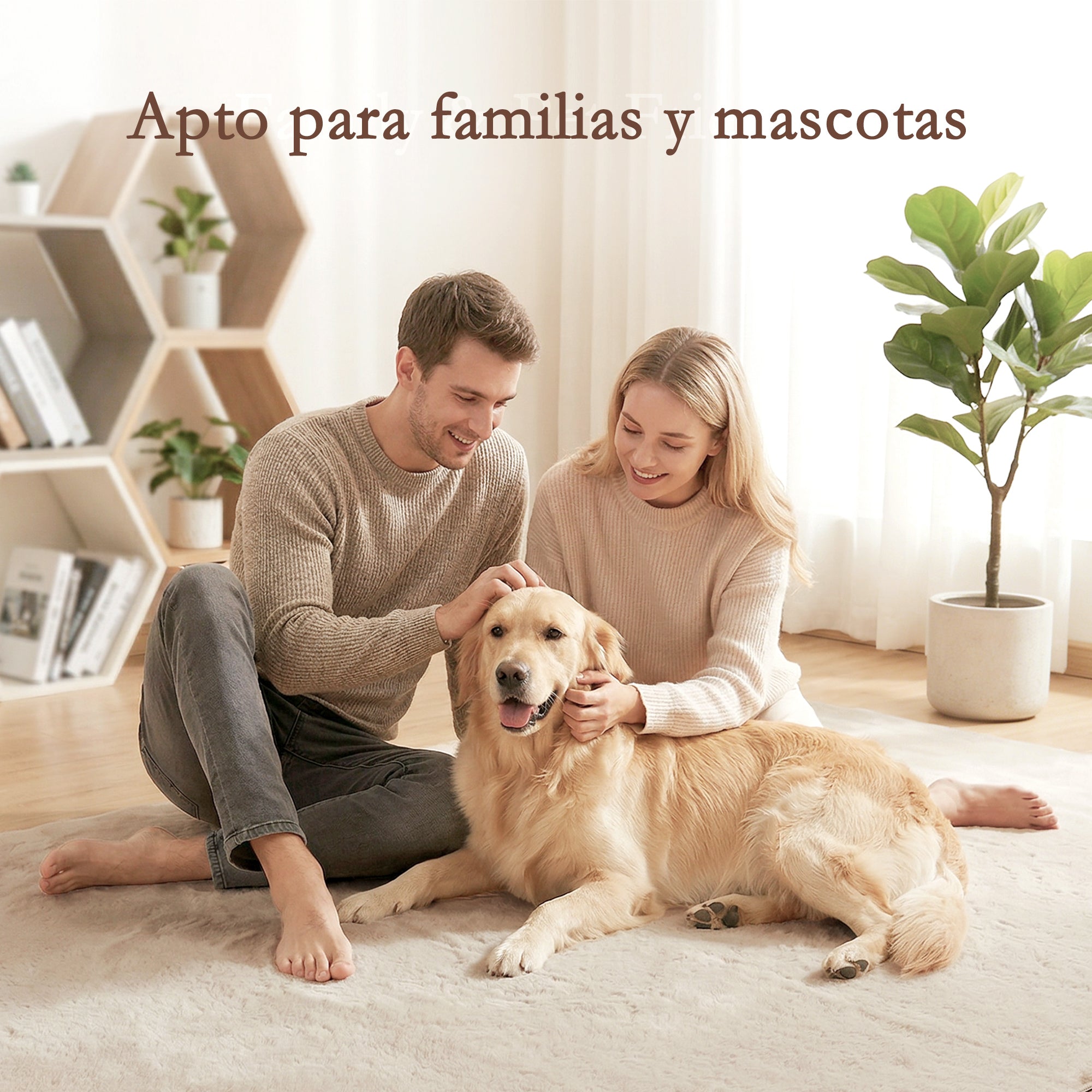 Long-Pile Washable Area Rug, 63 x 90.6 in (160 x 230 cm), Cream