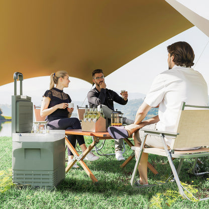 Portable Electric Cooler 40 L, Portable Car Freezer and Refrigerator 12/24V, with ECO/MAX modes, -20°C to 20°C, telescopic handle, for truck, camping, green