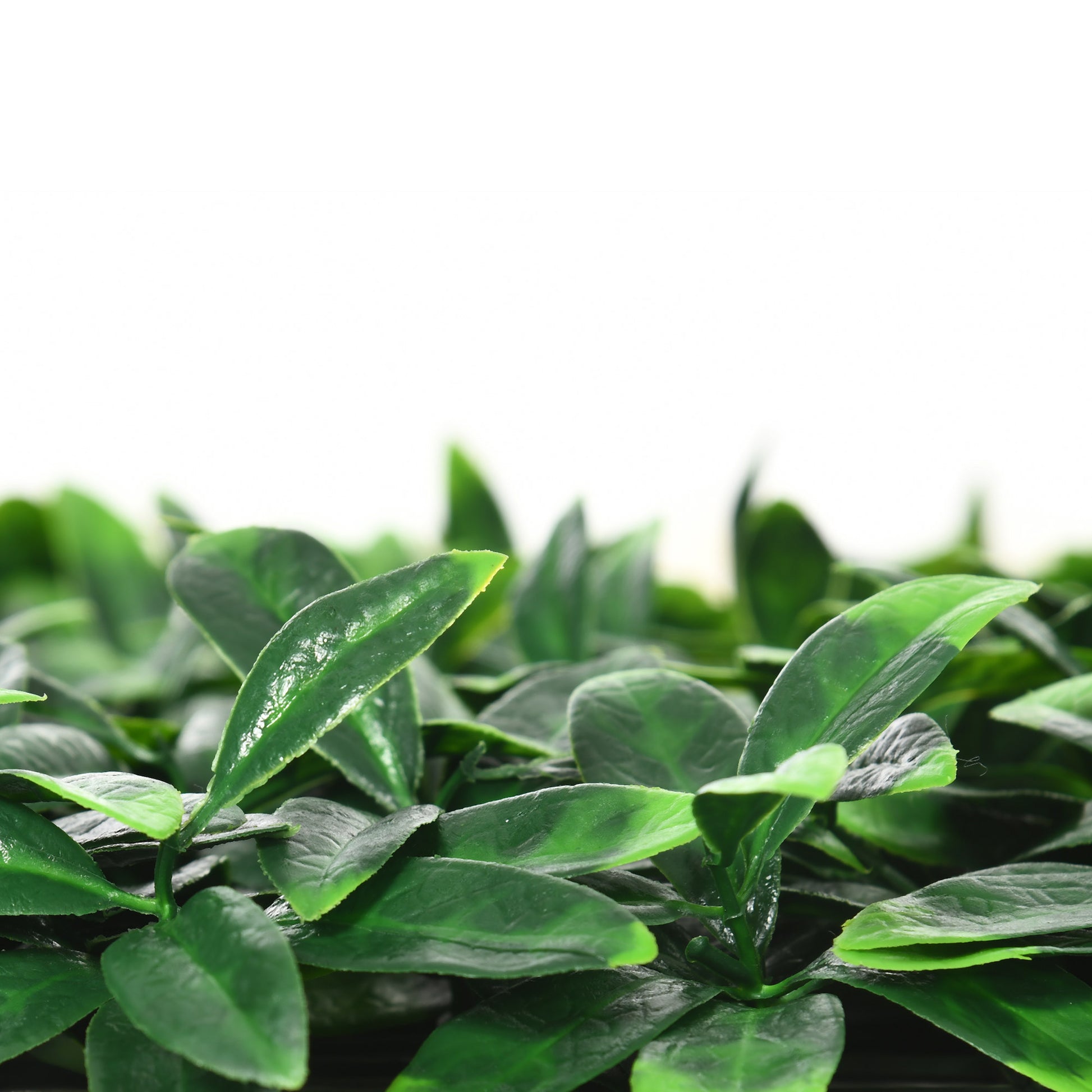 Artificial Laurel Hedge Privacy Wall Covering 12 Panels 50 x 50 cm Expandable Grid Realistic PE Green Foliage