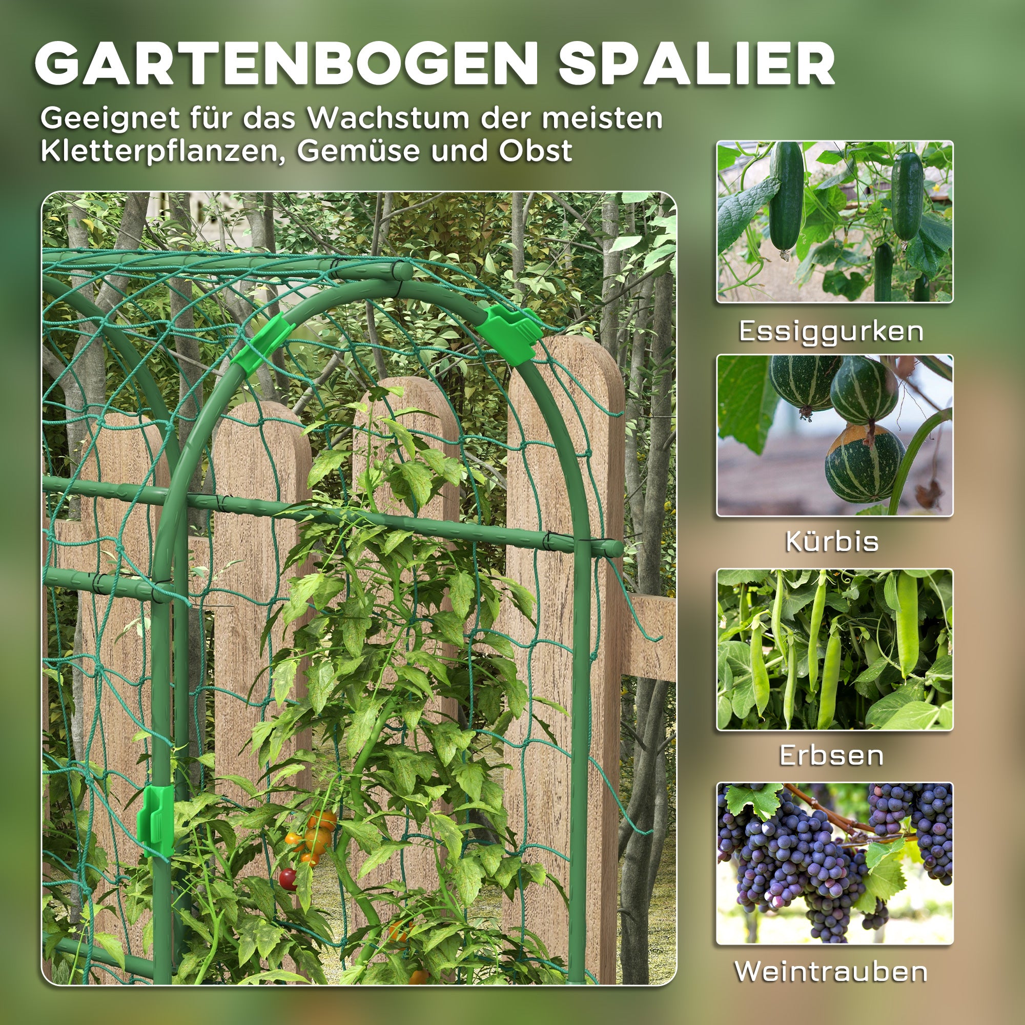 Metal Trellis Arch Rustproof Plant Support for Climbing Plants Cucumbers Trellis 43 x 182 x 183 cm Garden Trellis Plant Trellis for Tomatoes, Vegetables, Flowers Climbing Plants Black