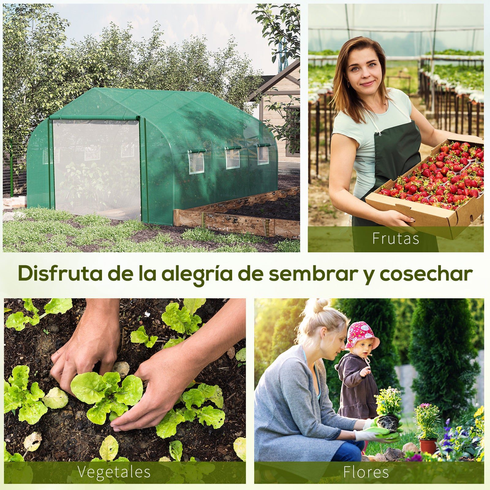 Green Tunnel Greenhouse 3.5x3x2 m Garden Greenhouse with Door and 6 Roll-Up Polyethylene PE Windows 140g/m² Galvanized Metal for Cultivating Plants Flowers