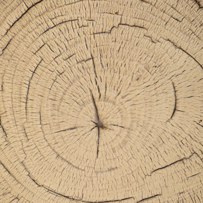 Decorative Garden Tree Trunk Ø38x42 cm Natural Style in Magnesium Oxide Use as Side Table Stool or Plant Stand Indoor and Outdoor