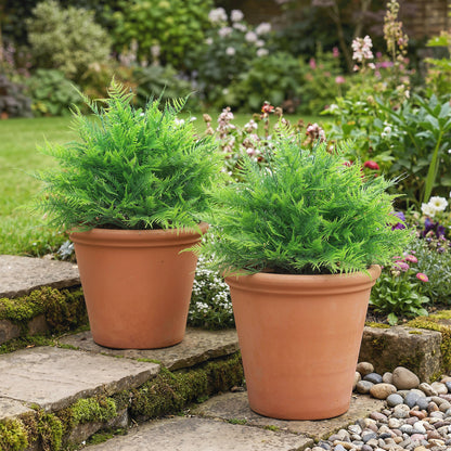 2-Pack Artificial Boston Ferns, 24 in Faux Potted Plants – Lifelike Fake Ferns for Living Room, Bedroom, Garden, Office, Gift