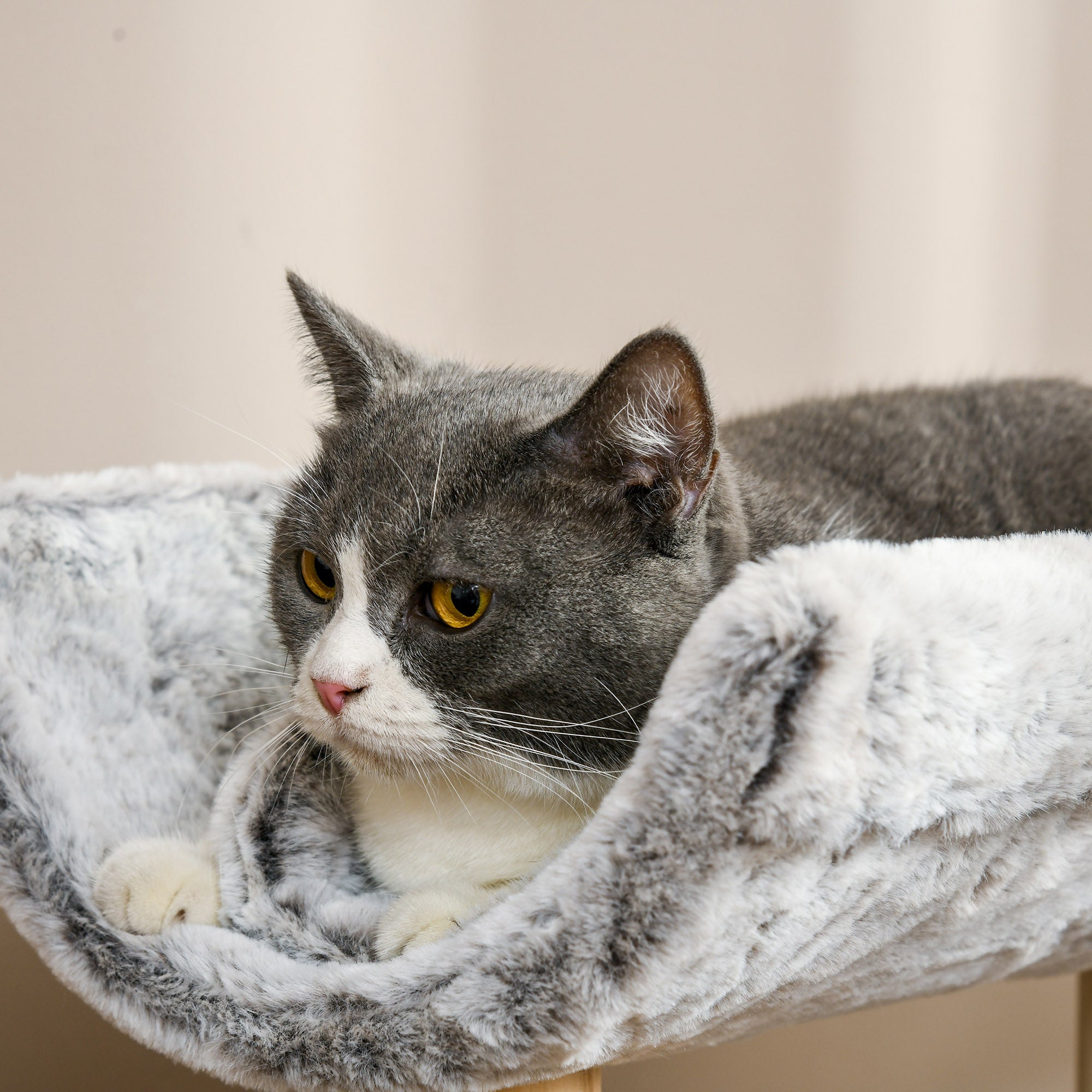 Cat Tree with Scratching Post, Climbing Tree for Cats, 1 Upper Niche with Washable Cushion, 1 Round Niche and 1 Hanging Jute Ball, Cat Play Tower, Height 60 cm, Plush, Gray