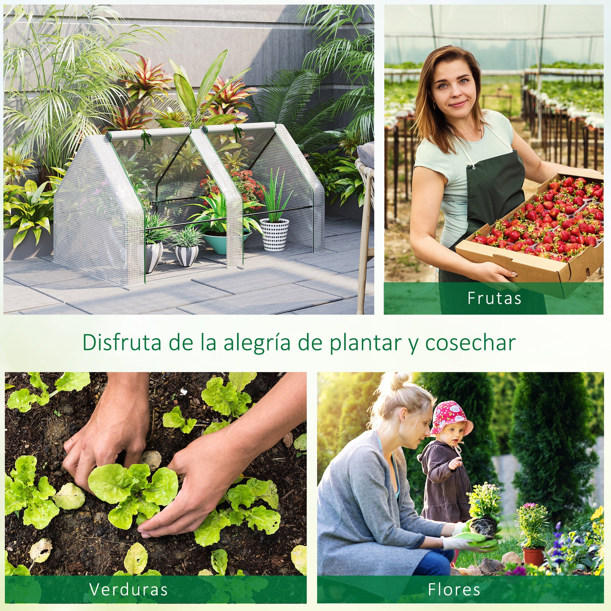Outdoor Greenhouse Garden Greenhouse 180x90x90 cm Shed Type with 2 Windows Steel Frame Terrace Greenhouse for Growing Plants Flowers Tomatoes White