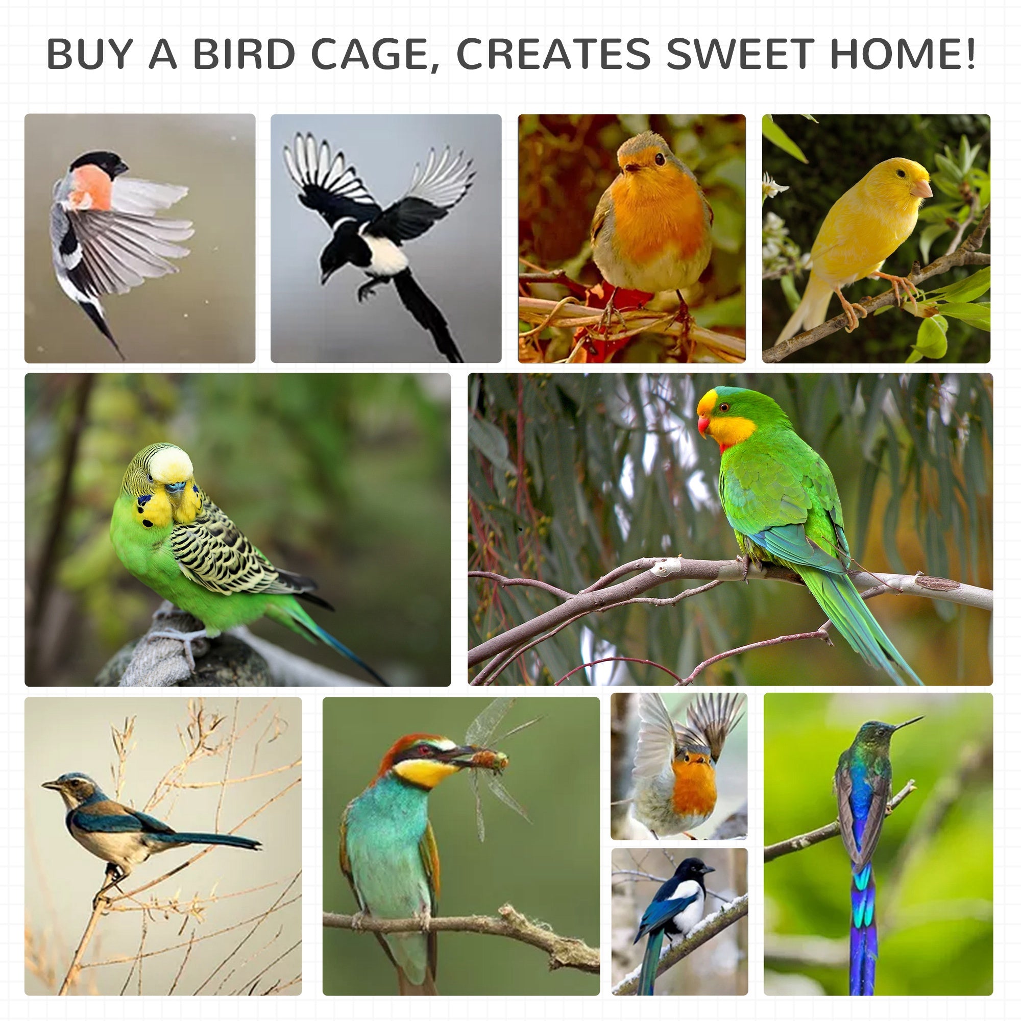 Bird Cage Aviary Wooden Birdhouse with 3 Doors 4 Perches Removable Tray and Asphalt Roof 80.5x57x153 cm Natural