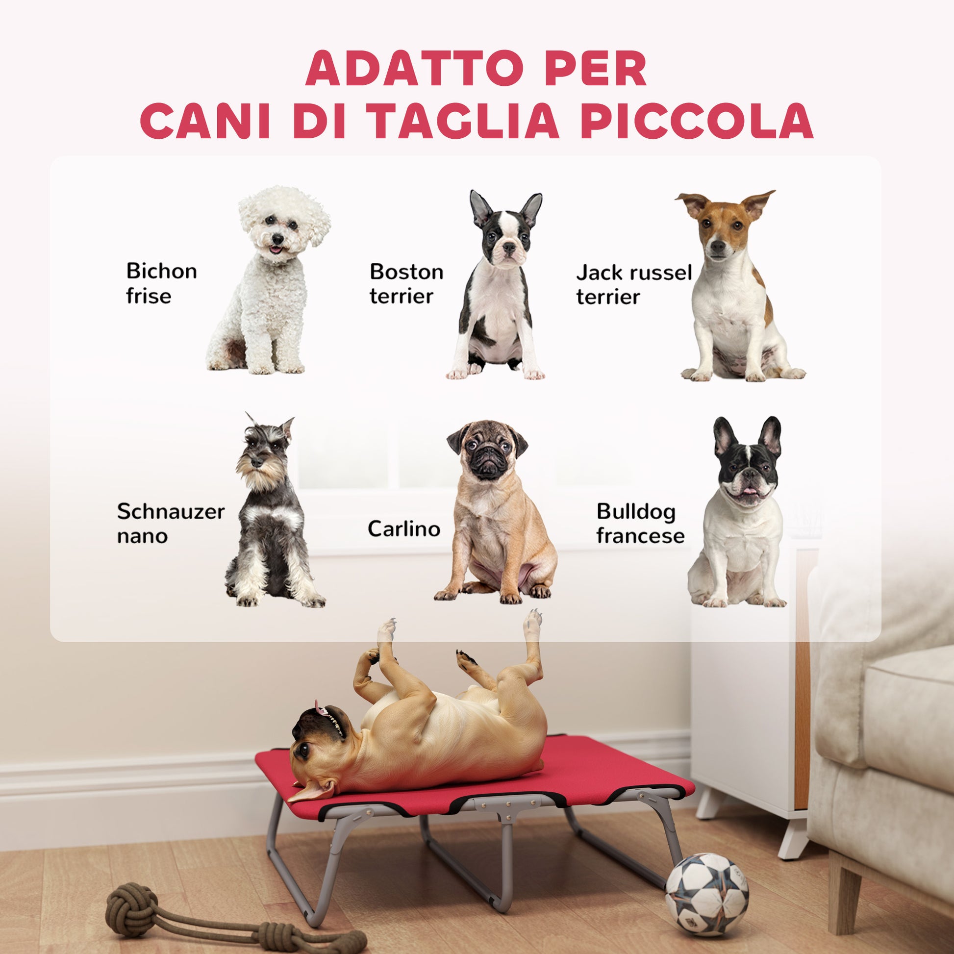Small Dog Bed Folding Raised Dog Bed for Indoor and Outdoor, Steel and Oxford Fabric, 71x58x20 cm, Red
