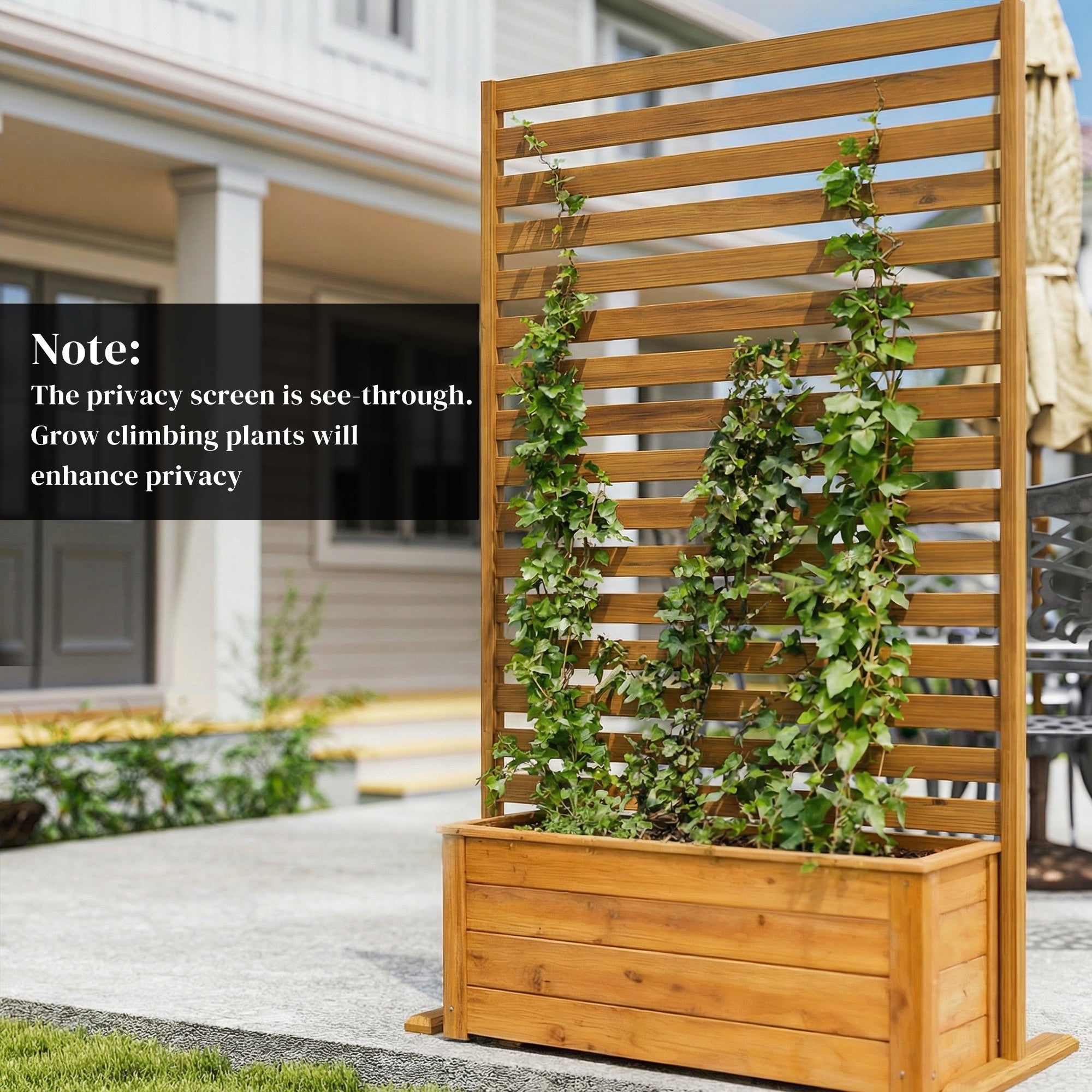 Wooden Privacy Screen, 66.9 x 31.5 in (170 x 80 cm) — Outdoor Trellis Room Divider for Garden, Patio, Deck, Brown