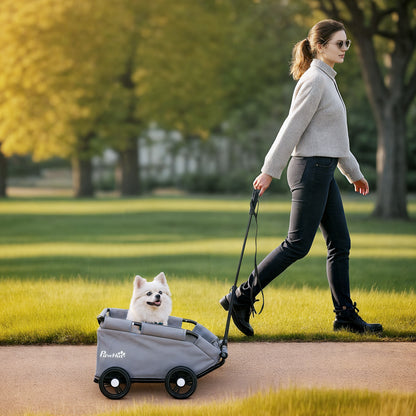Dog Stroller, 4-Wheel Foldable Dog Stroller with Adjustable Handlebar, Storage Bag, Washable Cushion, for Small Dogs up to 4 kg, Gray