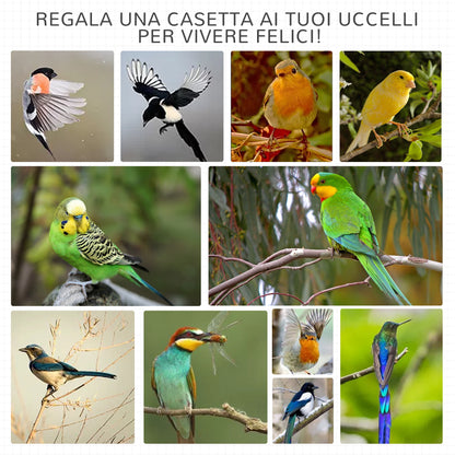 Outdoor Bird Aviary in Light Gray Fir Wood, 3 Openings with Lock, 4 Perches, and Removable Tray, 80.5x57x153cm