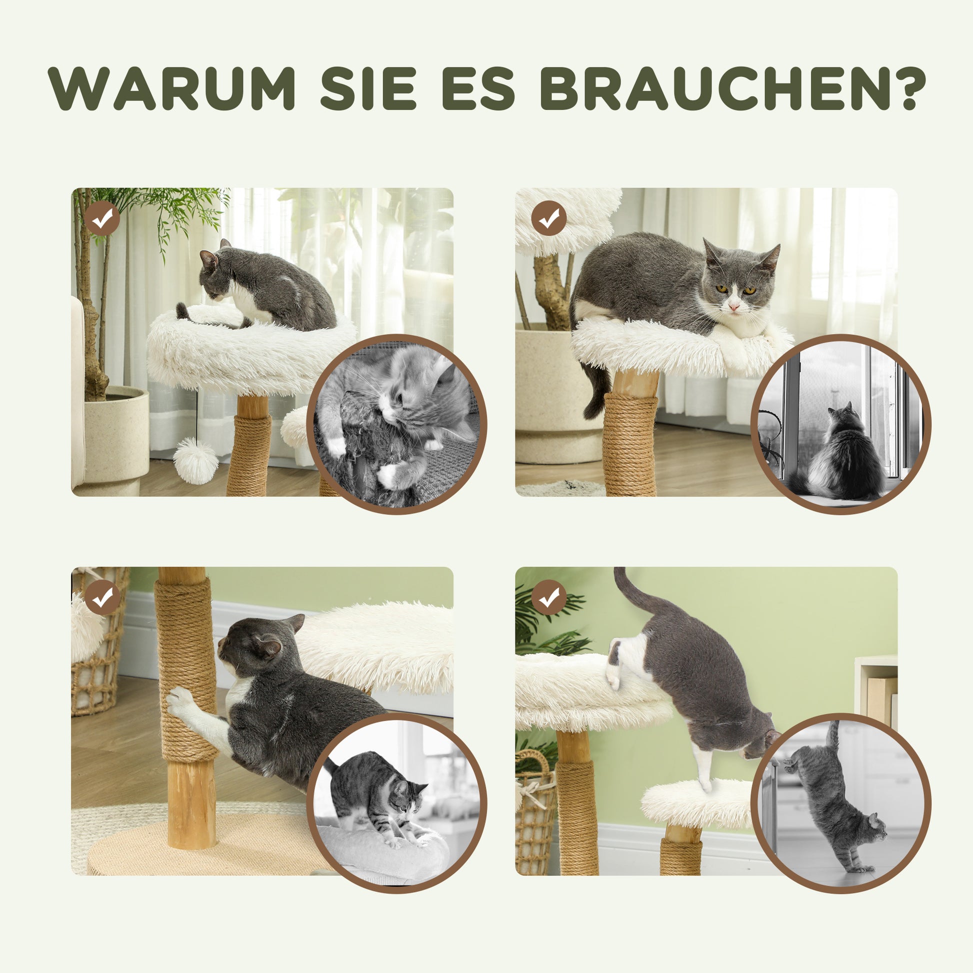 Scratching Post 61.5 cm high Cat Tree with Toy Ball, Beds, Cat Tower with Cat Scratching Board, for Cats under 5 kg, Pear Wood, White