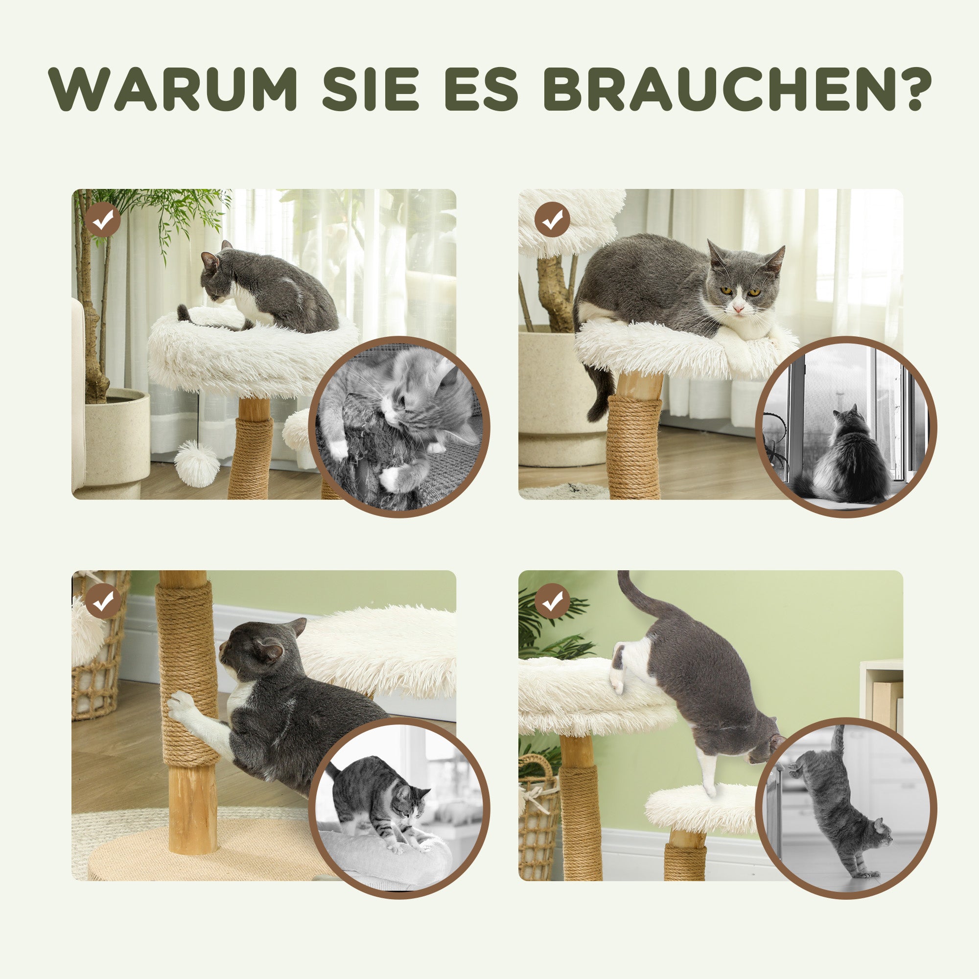 Scratching Post 61.5 cm high Cat Tree with Toy Ball, Beds, Cat Tower with Cat Scratching Board, for Cats under 5 kg, Pear Wood, White