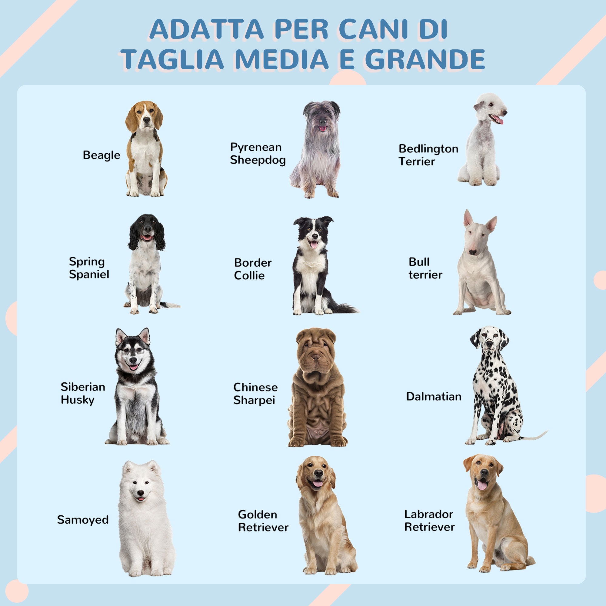 Medium and Large Dog Kennel max 30kg in Waterproof PP, Easy to Assemble, 84.2x98.2x82cm, Blue