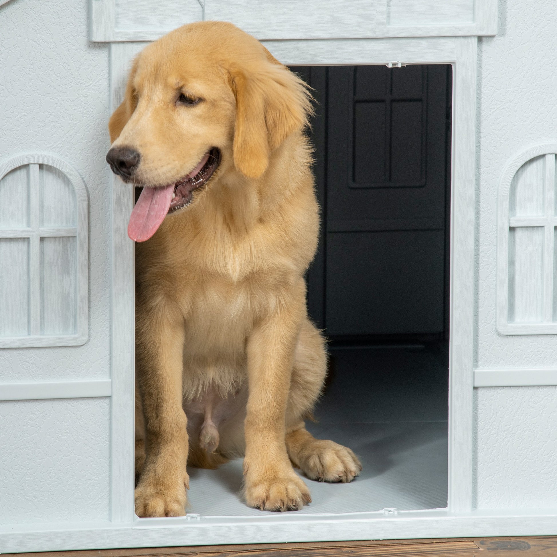 Medium and Large Dog Kennel max 30kg in Waterproof PP, Easy to Assemble, 84.2x98.2x82cm, Blue