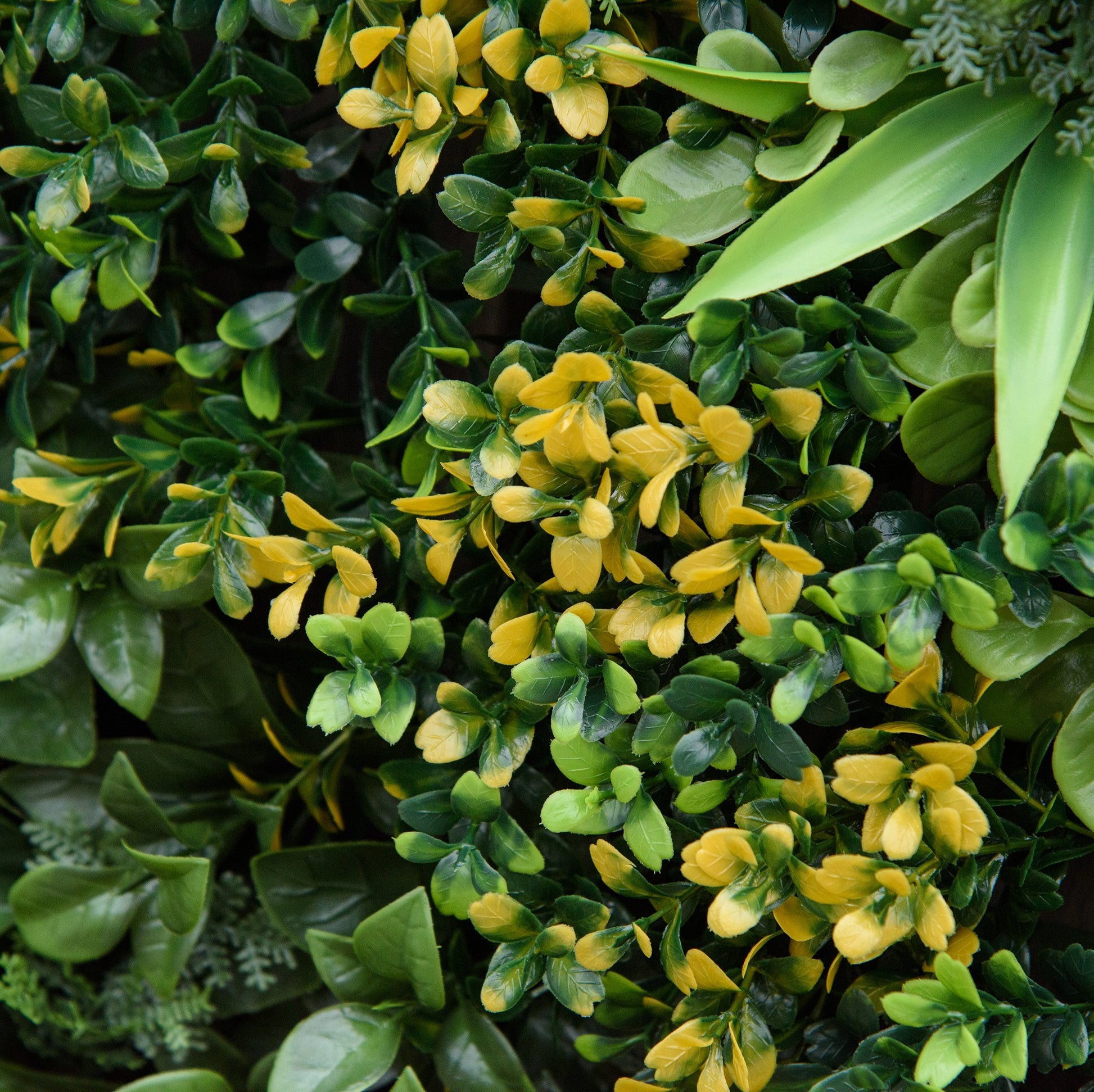 12 Piece Artificial Plant Wall Hedge 50x50 cm UV Protection Privacy Screen Multi-Leaf Design Hedge Plant for Garden Outdoor Decor