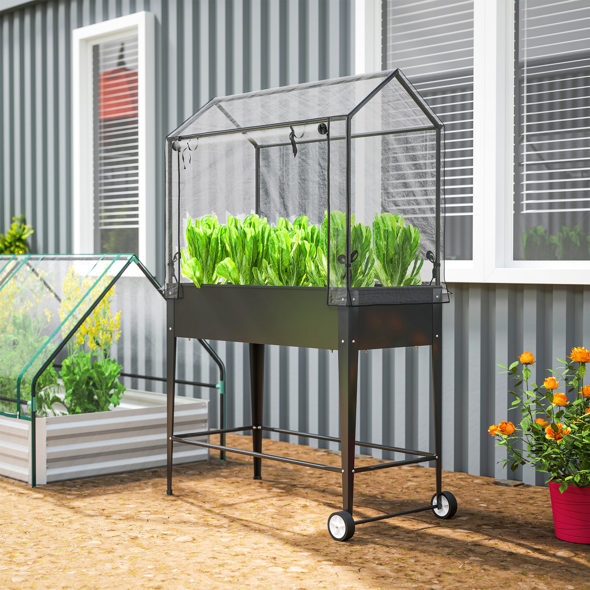 Raised Garden Bed with PVC Cover, Raised Planter with Wheels, Roll-Up Zippered Door and Drainage Hole, Mini Greenhouse for Vegetables, Flowers, Herbs, 100 x 45 x 152 cm, Black