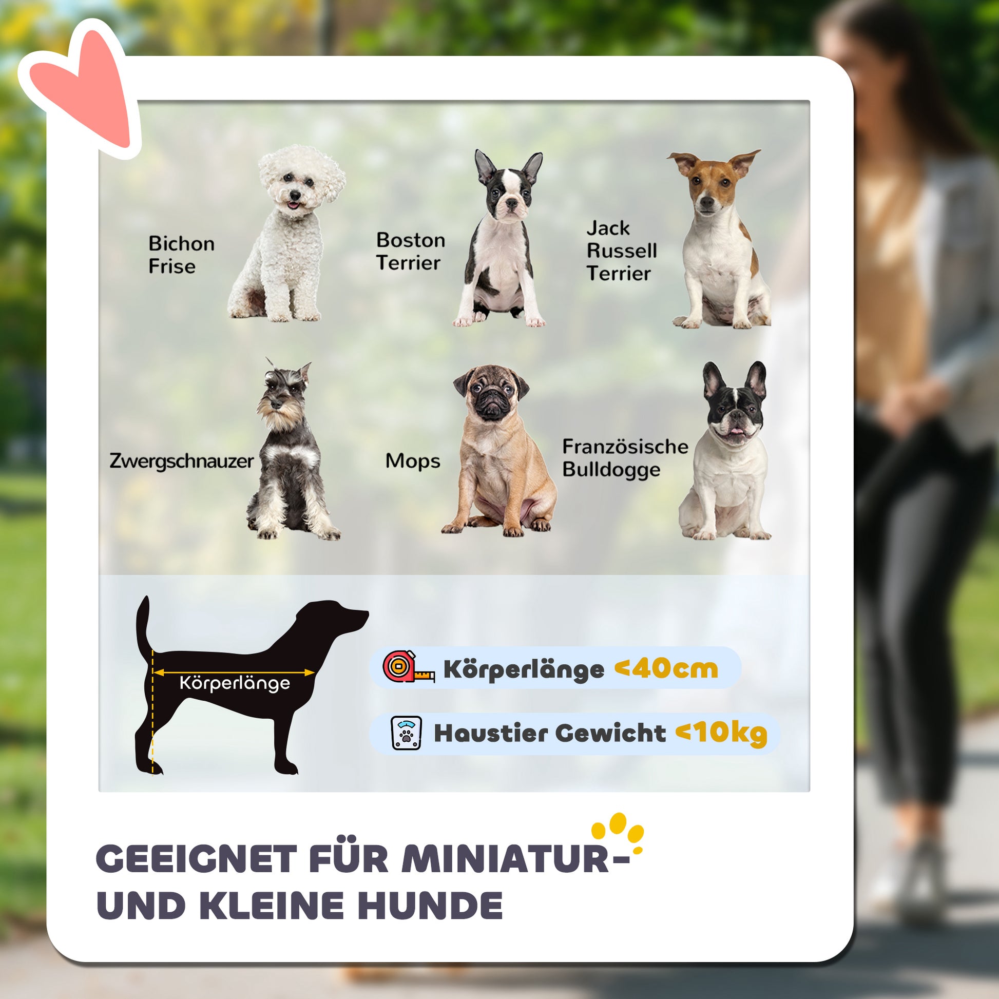 2 in 1 Dog Stroller Pet Stroller Foldable for Dogs & Cats up to 10 kg Cat Stroller with Cushion Mesh Windows Doors Storage Basket Cat Carriage Buggy Khaki