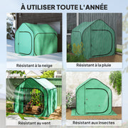 Pop-up Mini Greenhouse, Small Garden Greenhouse for Vegetables, Plants, Flowers, with Zippered Door, PE Winter Tent, for Indoor Outdoor, 150 x 148 x 148 cm, Green
