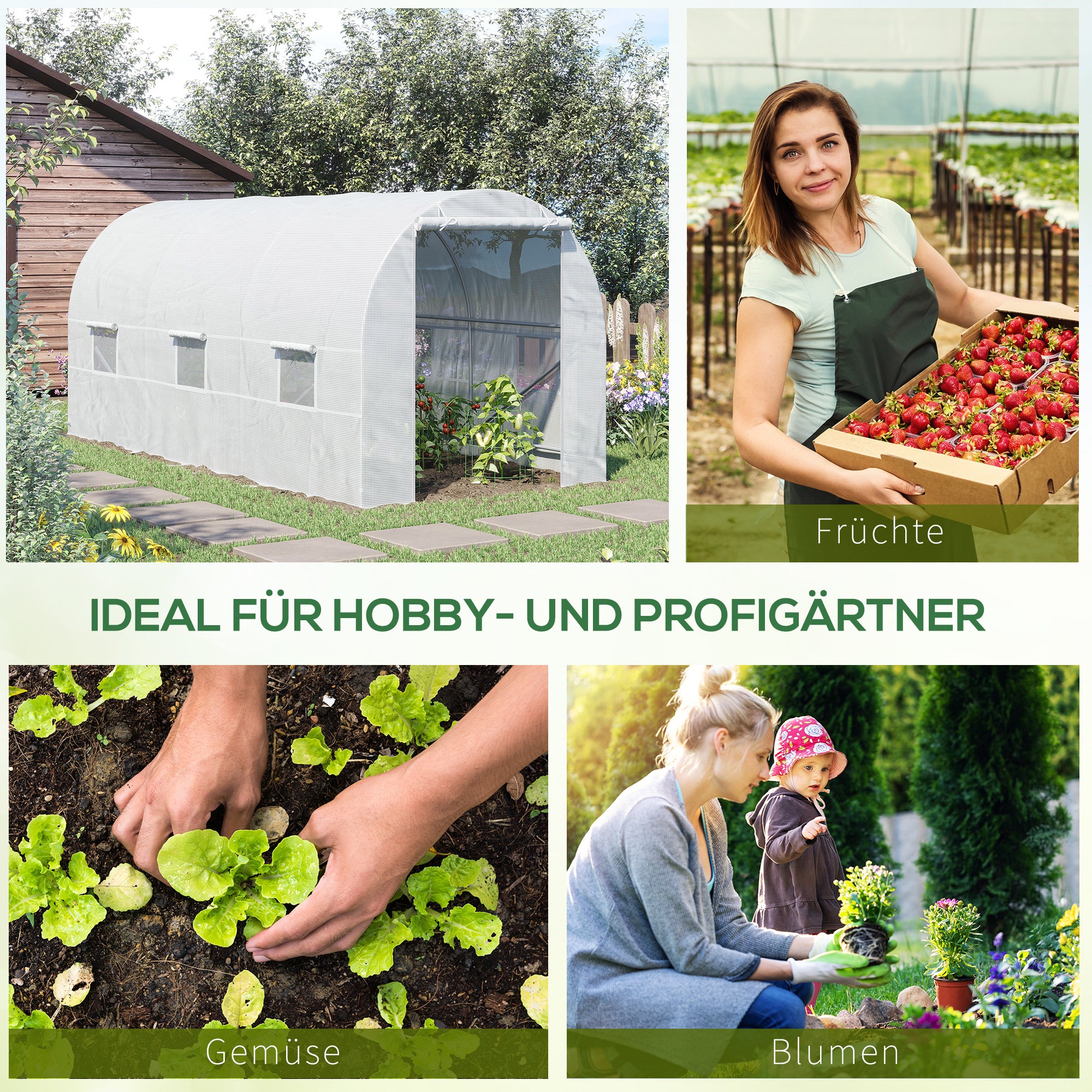 Greenhouse 445x200x200cm Foil Greenhouse Tomato House with Door, Window, Film Tunnel made of galvanized steel, plant tunnel, greenhouse including ground anchors and ropes, garden tunnel, White