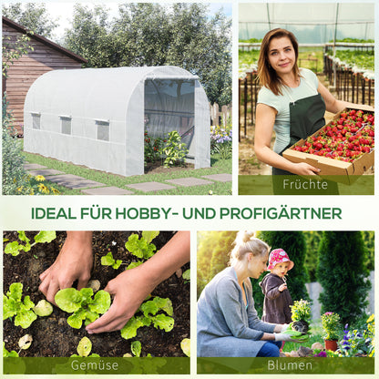 Greenhouse 445x200x200cm Foil Greenhouse Tomato House with Door, Window, Film Tunnel made of galvanized steel, plant tunnel, greenhouse including ground anchors and ropes, garden tunnel, White