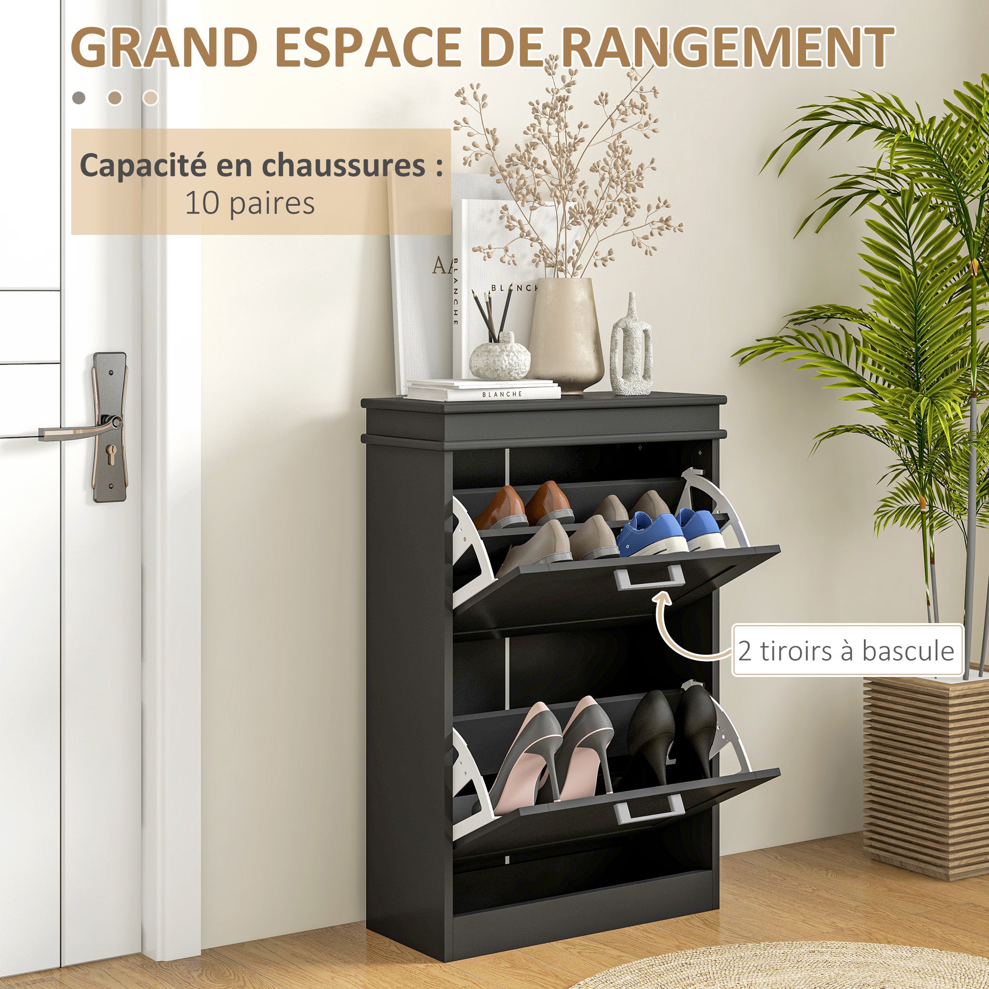 Shoe Cabinet, Shoe Cupboard, 2 Flip-Down Doors, Adjustable Shelves, for Entryway, Hallway, 54 x 24 x 82.5 cm, Black