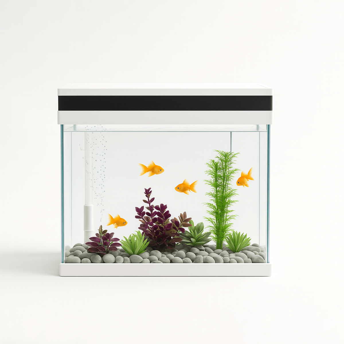 Reptiles & Amphibians Products