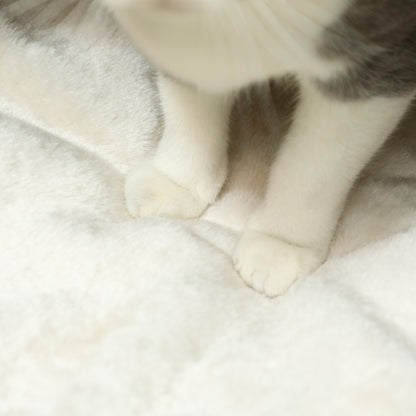 Cat Basket, Cat House, with Fluffy Cushion, Spacious Interior, Woven Willow, 45 x 41 x 37 cm, Brown