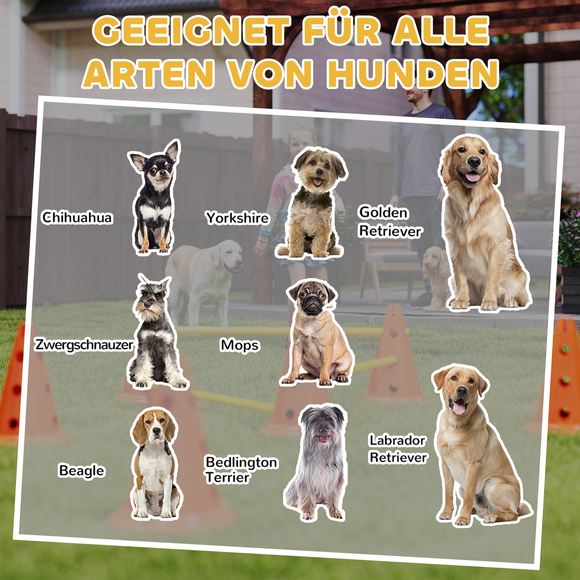 Agility Set for Dogs 6-Piece Dog Agility Equipment Set with 12 Cones 6 Adjustable Hurdles Carry Bag Training Accessories Coordination Training for Games Training
