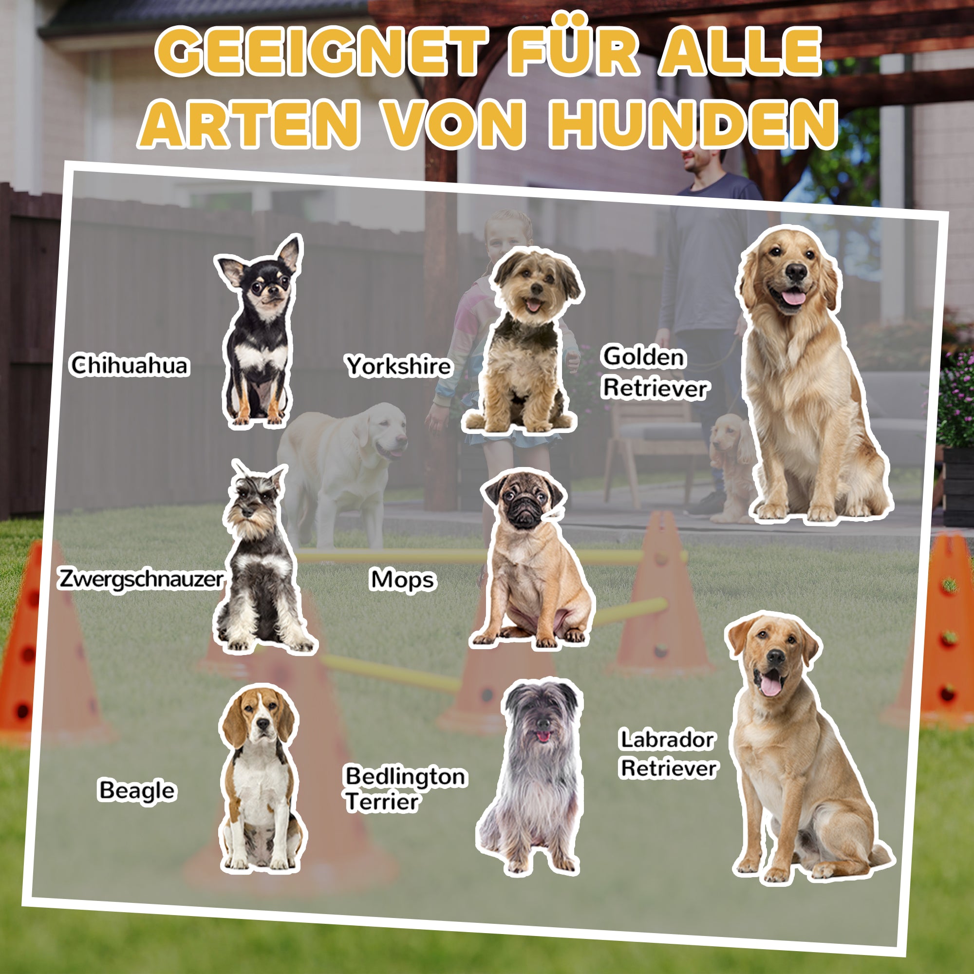Agility Set for Dogs 6-Piece Dog Agility Equipment Set with 12 Cones 6 Adjustable Hurdles Carry Bag Training Accessories Coordination Training for Games Training