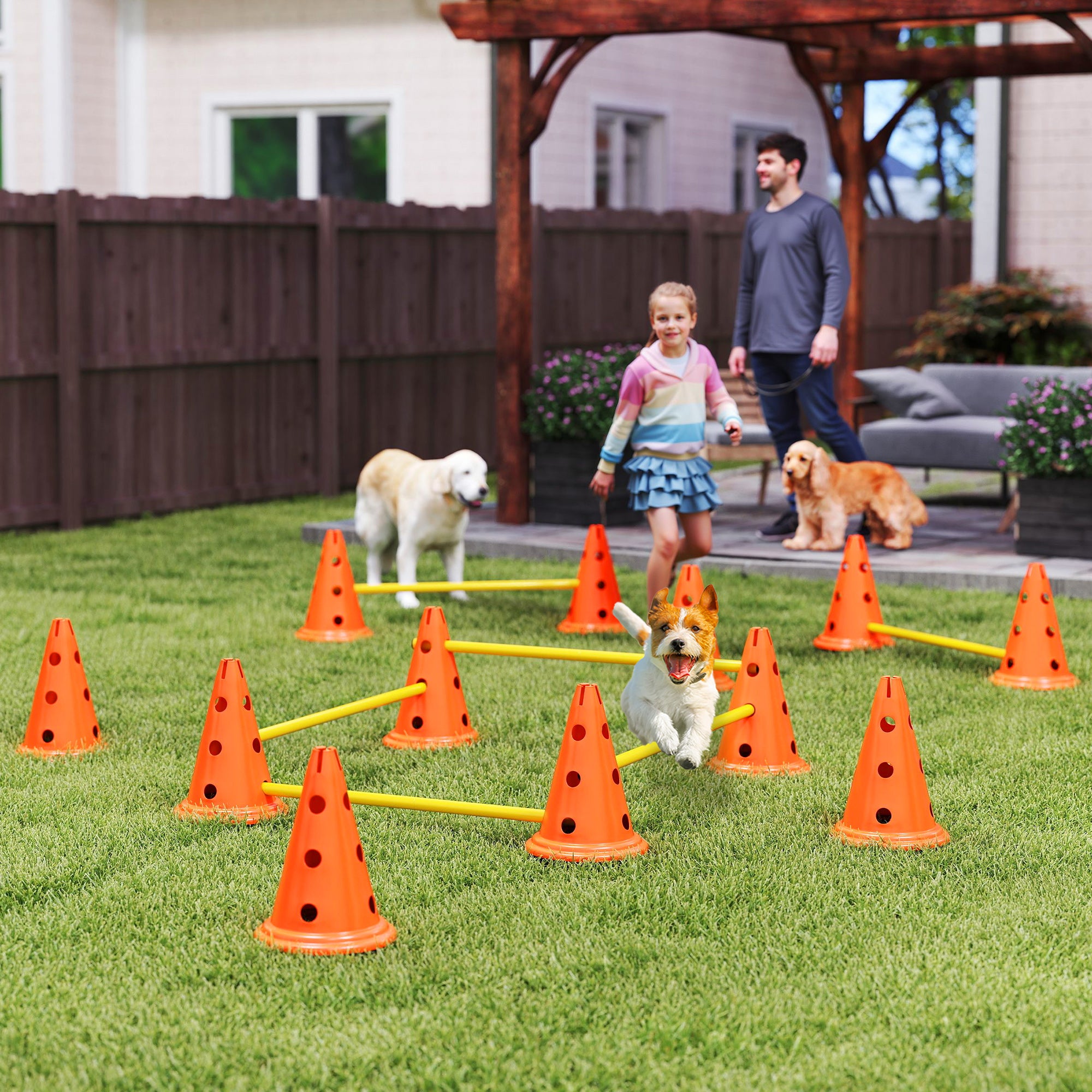 Agility Set for Dogs 6-Piece Dog Agility Equipment Set with 12 Cones 6 Adjustable Hurdles Carry Bag Training Accessories Coordination Training for Games Training