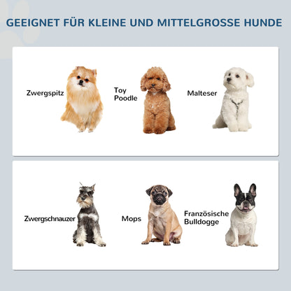 Elevated Dog Bowl Feeding Station with 2 Bowls Water Bowl 2 x 900ml Stainless Steel Bowls Food Bowl Feeding Station Dog Bowls for Small Dogs Cats Gray