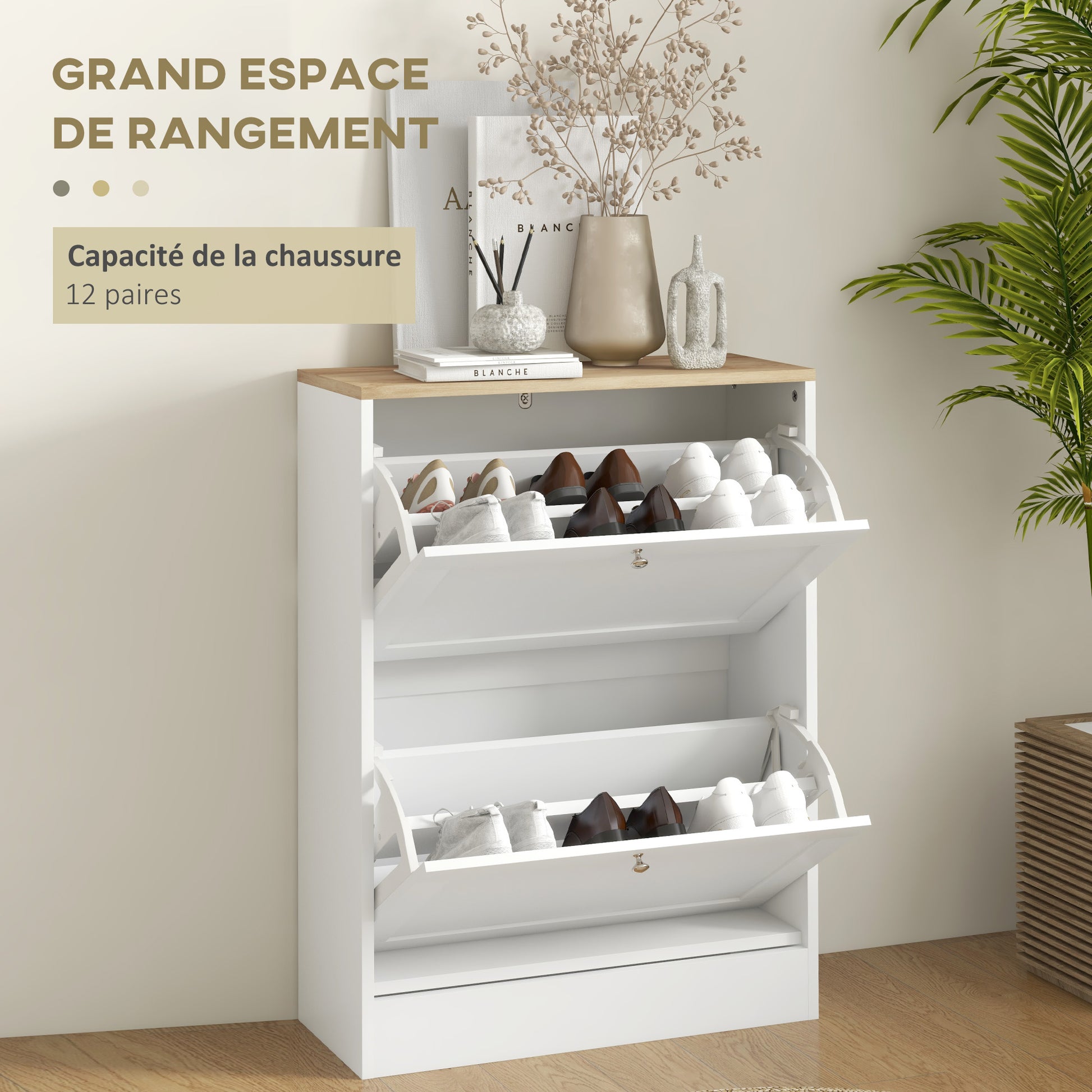 Shoe Cabinet for 12 Pairs, Narrow Shoe Storage Cabinet, Modern Entryway Furniture with 2 Fold-Down Drawers and Adjustable Shelves, for Hallway and Entrance, 60 x 24 x 80 cm, White