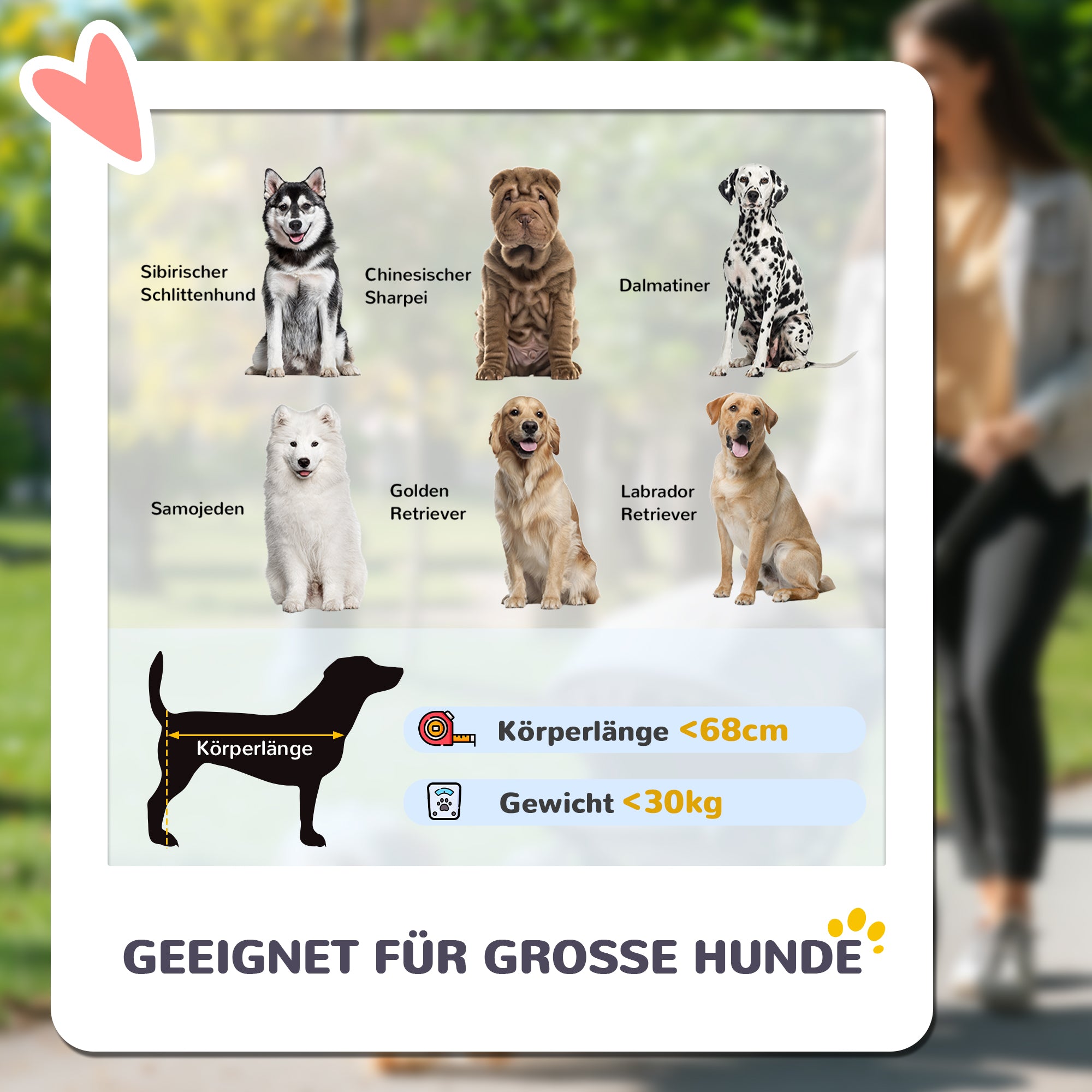 Dog Buggy Foldable Pet Stroller for Large Dogs & Cats up to 30 kg Cat Stroller with Cushion Mesh Windows Doors Storage Bag Cat Carriage with Safety Leashes, Brakes, Gray