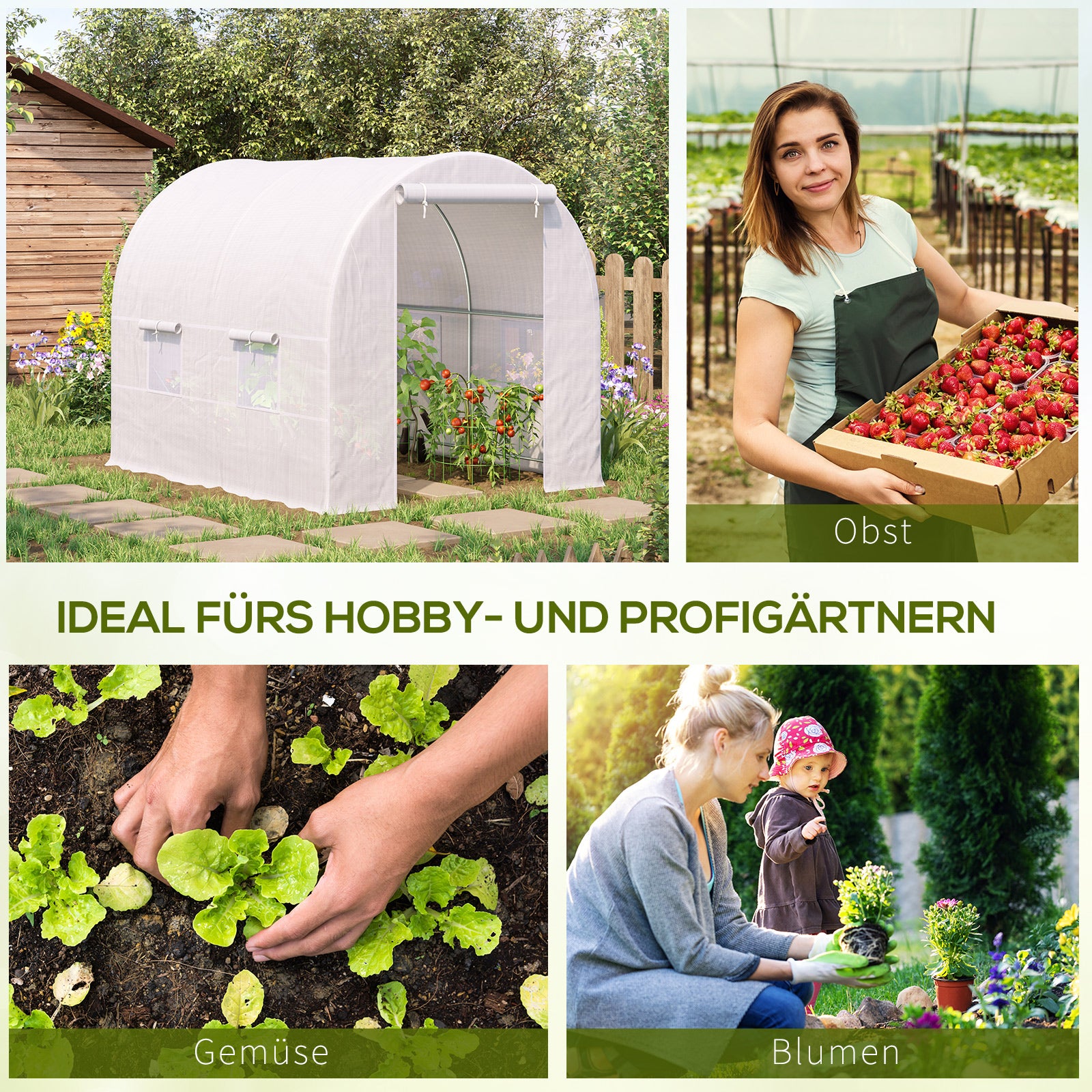 Greenhouse 245x200x200cm Foil Greenhouse Tomato House with Door, Window, Poly Tunnel made of Galvanized Steel, Plant Tunnel, Greenhouse including Ground Anchors Ropes, Garden Tunnel, White
