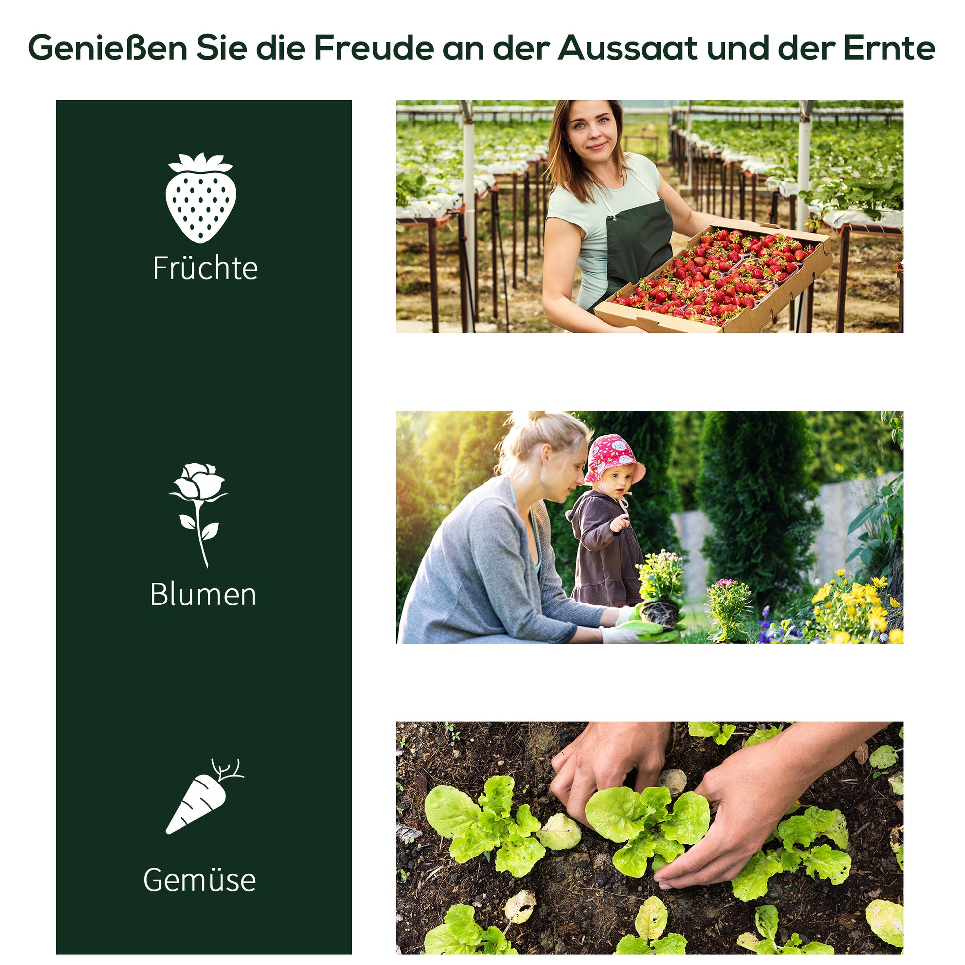 Greenhouse with Roll-up Window, Winterproof Foil Greenhouse Made of Steel, Water-Resistant Greenhouse for Balcony Garden, Tomato Greenhouse with UV Protection 200x100x80cm, Tomato Greenhouse for Vegetables Transparent
