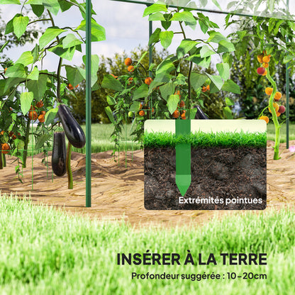 Garden Greenhouse, Tomato Greenhouse, Reinforced Tarpaulin, Steel Frame, for Vegetables Plants Flowers, Outdoor, 400 x 123 x 171 cm, Transparent