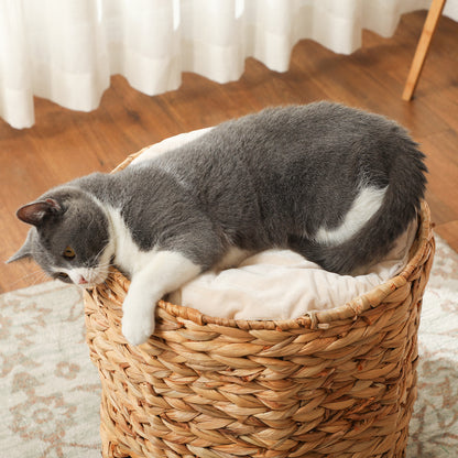 Scratching Post, 50 cm High Cat Tower with 2 Caves, Scratching Post with Cushion, Cat Tower Made of Water Hyacinth, for Cat up to 3.5 kg, Light Brown