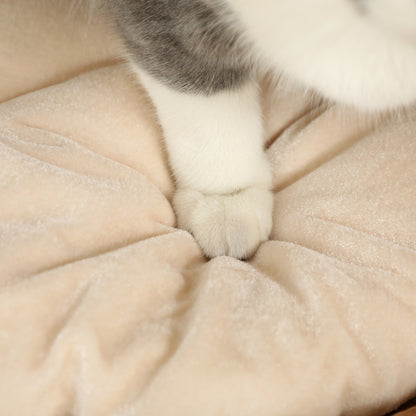 Scratching Post, 50 cm High Cat Tower with 2 Caves, Scratching Post with Cushion, Cat Tower Made of Water Hyacinth, for Cat up to 3.5 kg, Light Brown