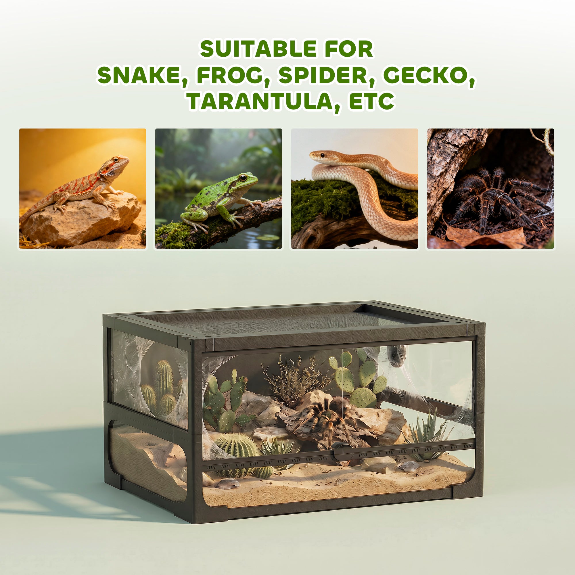 Raised Foldable Reptile Terrarium 24 x 18 x 13 in (60 x 45 x 32 cm) — Tempered Glass, Lockable Lid, Feeding Door, Mesh Ventilation, 360° View