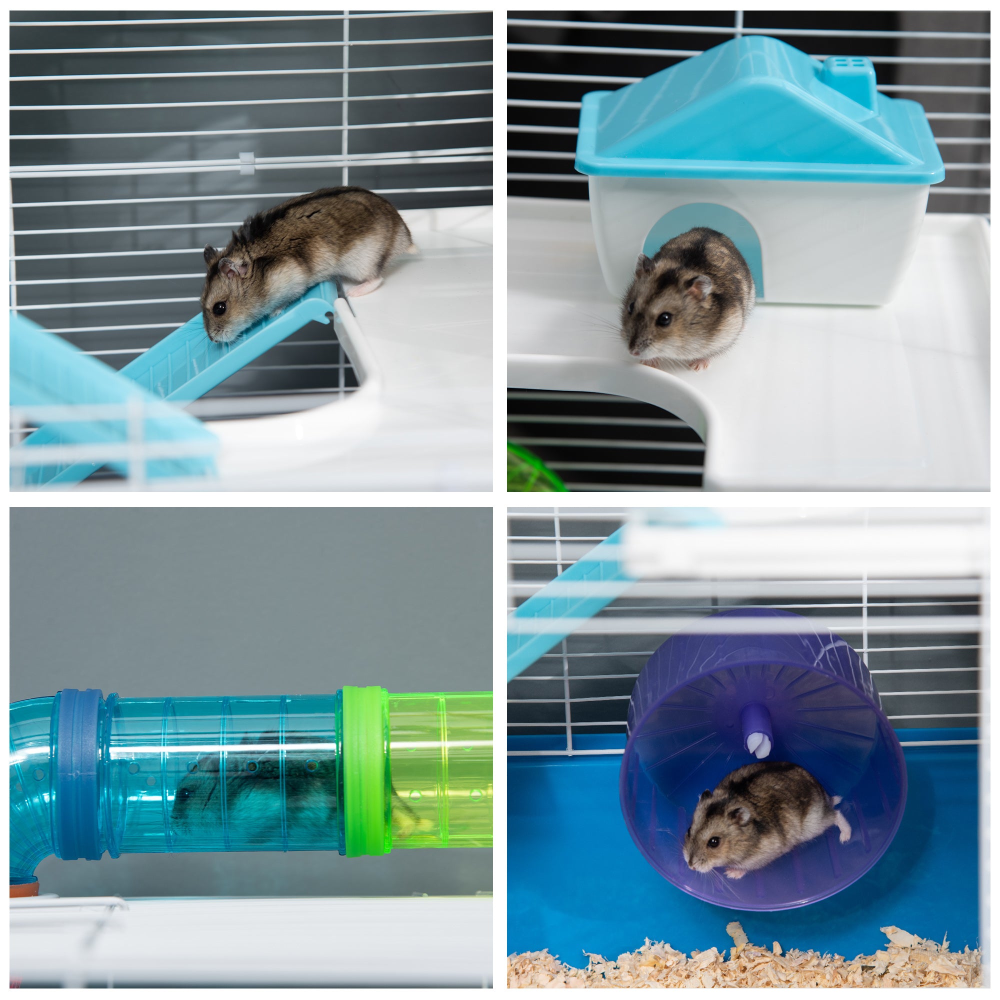 5-Level Hamster Cage with Tubes, House, Water Tank, Ramps, Bowl, Platforms, and Wheel, Rodent Cage with 2 Steel Handles, PP and PS, 59x36x69 cm, Blue
