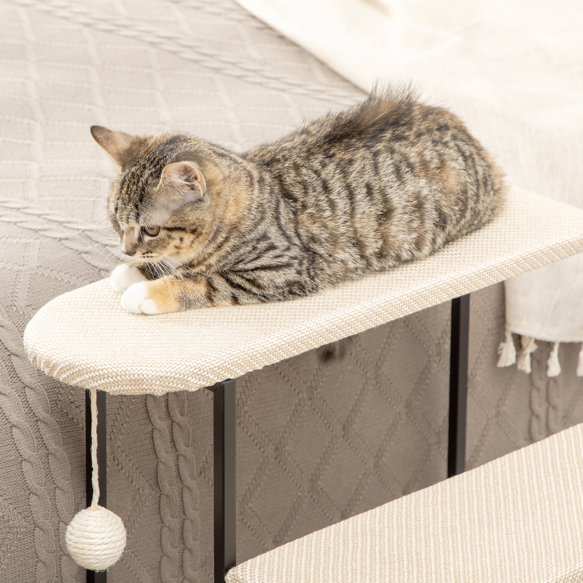 Pet Staircase 3-Step Cat Staircase Dog Staircase with Scratching Board and Play Ball Entry Aid Practical & Lightweight Pet Staircase Steel Sisal Cream White+Black 20" x 21" x 21"