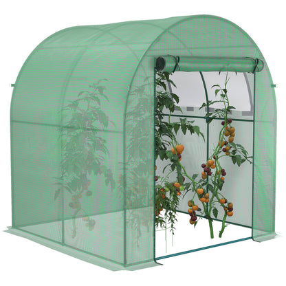 Garden Greenhouse 180x180x200 cm Small Tunnel Greenhouse with Roll-Up Door and Mesh Window for Growing Plants Flowers