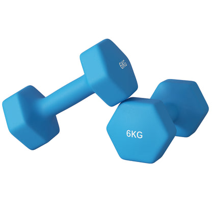 SPORTNOW Set of 2 Hexagonal Dumbbells 2x6kg in Metal and Plastic, Non-Slip Grip, 22x10x10 cm, Blue