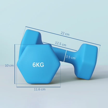 SPORTNOW Set of 2 Hexagonal Dumbbells 2x6kg in Metal and Plastic, Non-Slip Grip, 22x10x10 cm, Blue