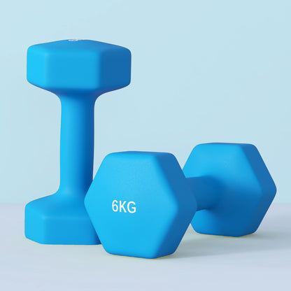 SPORTNOW Set of 2 Hexagonal Dumbbells 2x6kg in Metal and Plastic, Non-Slip Grip, 22x10x10 cm, Blue